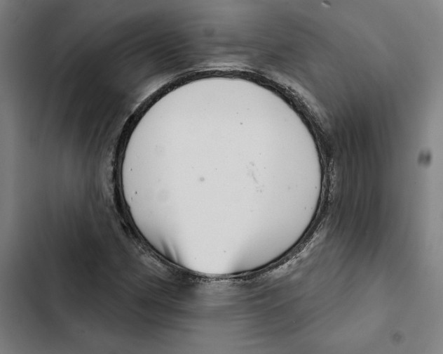 X0000102361162200808291218