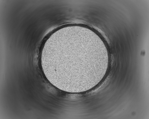 X0000102361163200808291218