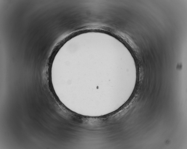 X0000102361164200808291218