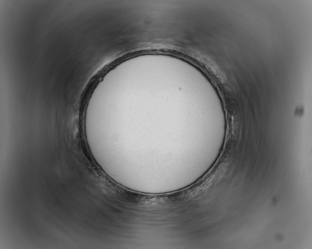 X0000102361165200808291218