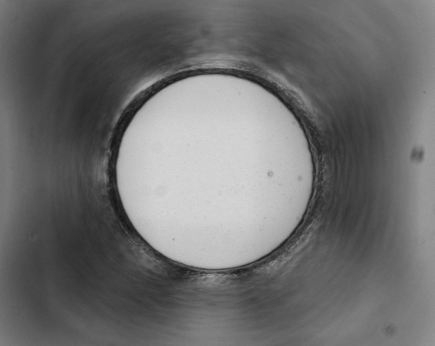 X0000102361166200808291218