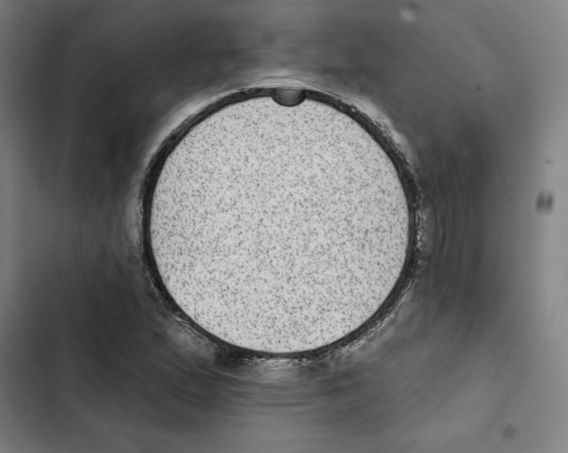 X0000102361167200808291218