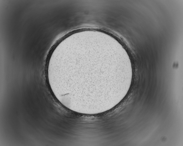 X0000102361168200808291218