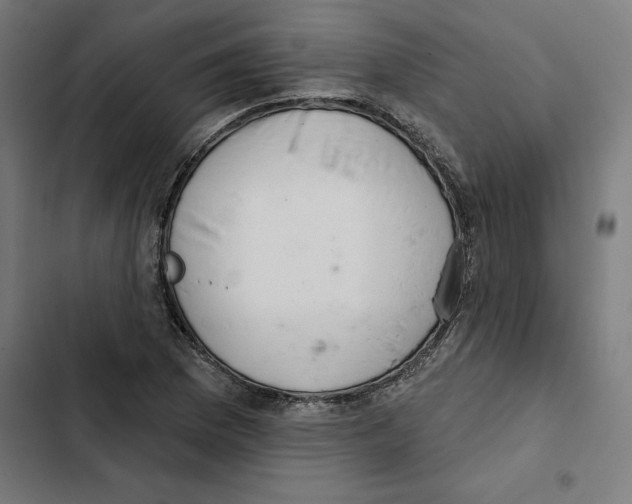 X0000102361169200808291218