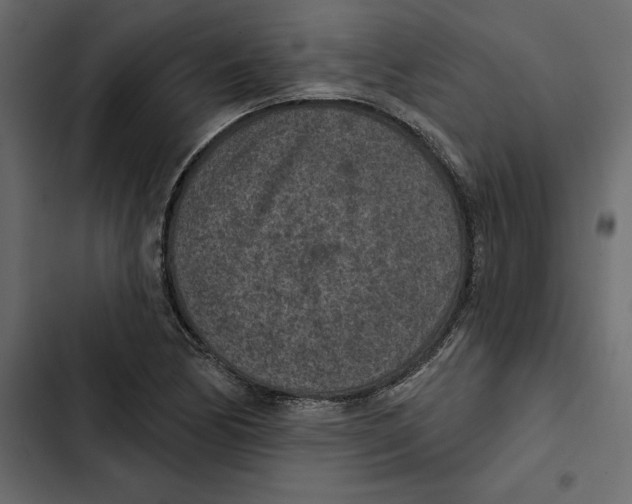 X0000102361170200808291218