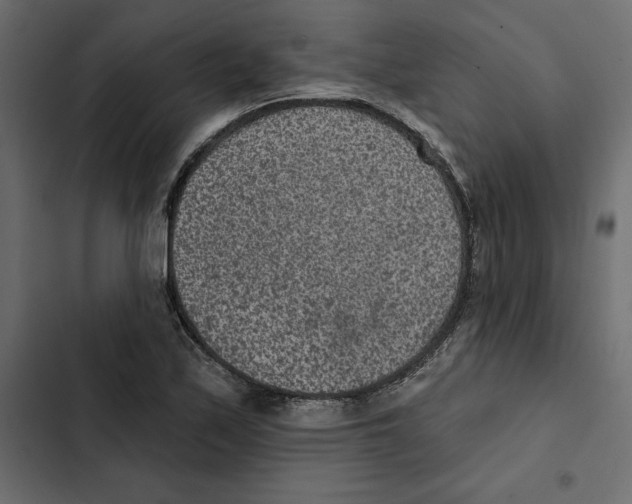 X0000102361171200808291218