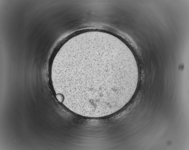 X0000102361172200808291218