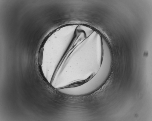 X0000102361173200808291218