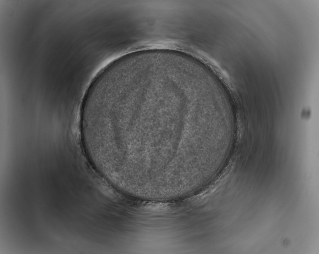 X0000102361174200808291218