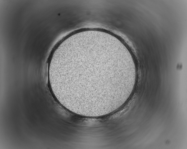 X0000102361175200808291218