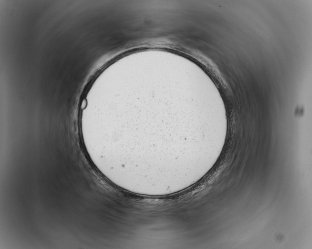 X0000102361176200808291218