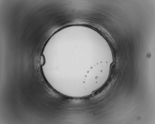 X0000102361177200808291218