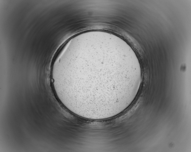 X0000102361178200808291218