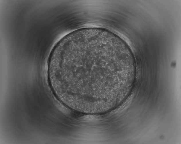 X0000102361179200808291218