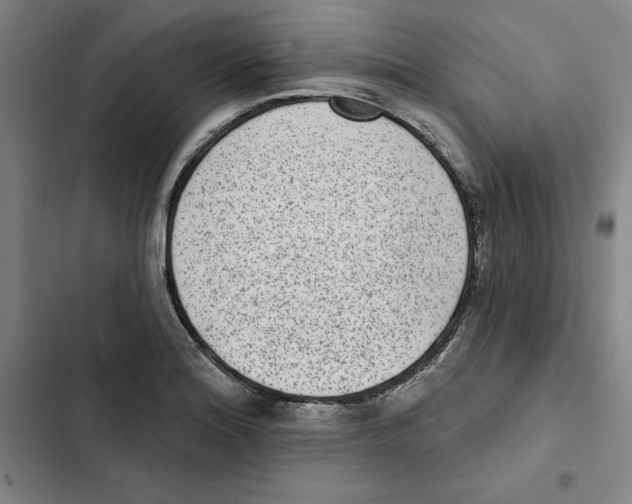 X0000102361180200808291218