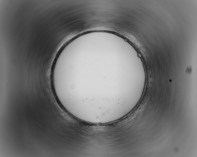 X0000102361181200808291218