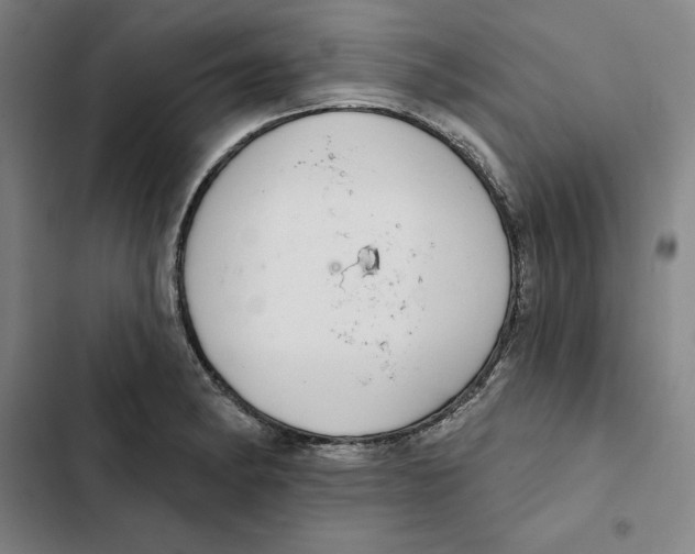 X0000102361182200808291218