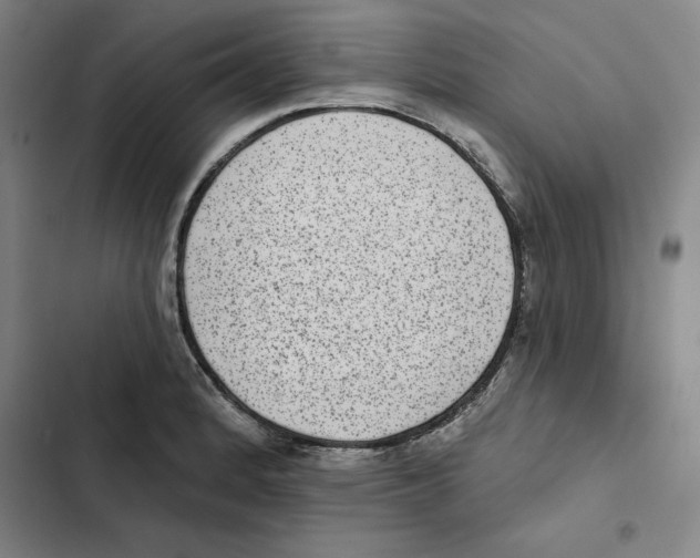 X0000102361184200808291218