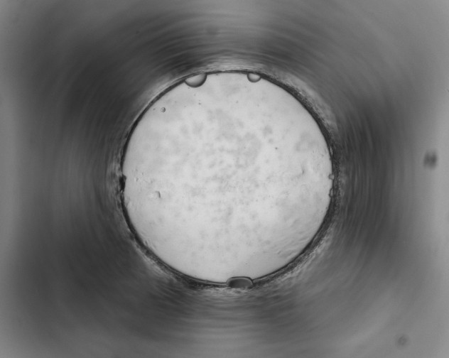 X0000102361185200808291218