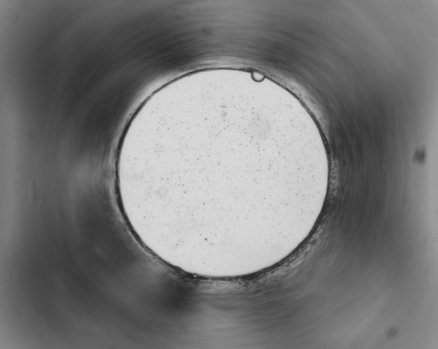 X0000102361187200808291218