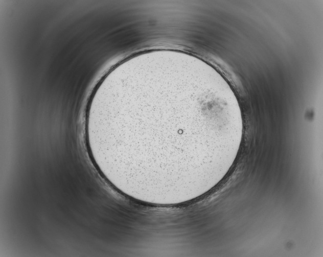 X0000102361188200808291218