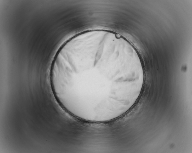 X0000102361189200808291218