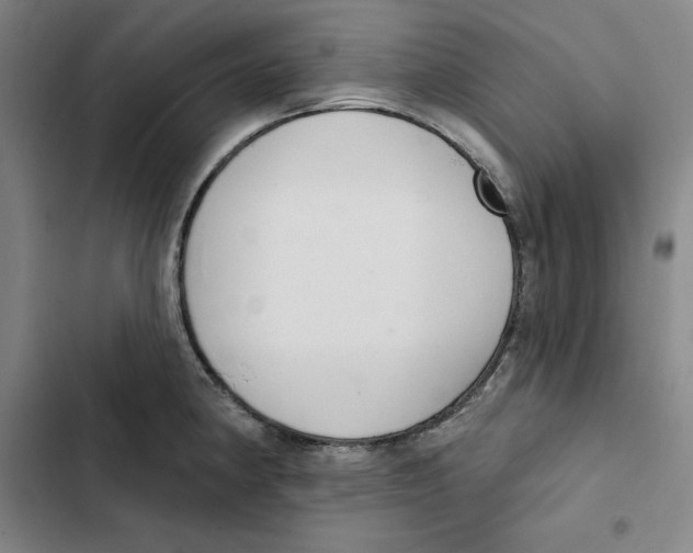 X0000102361190200808291218