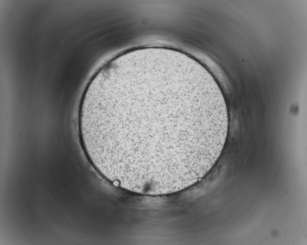 X0000102361191200808291218