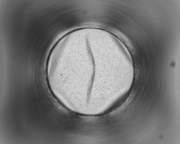 X0000102361192200808291218