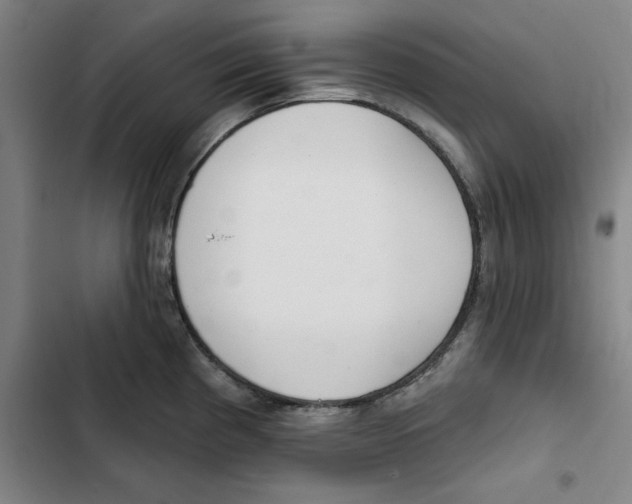 X0000102361193200808291218