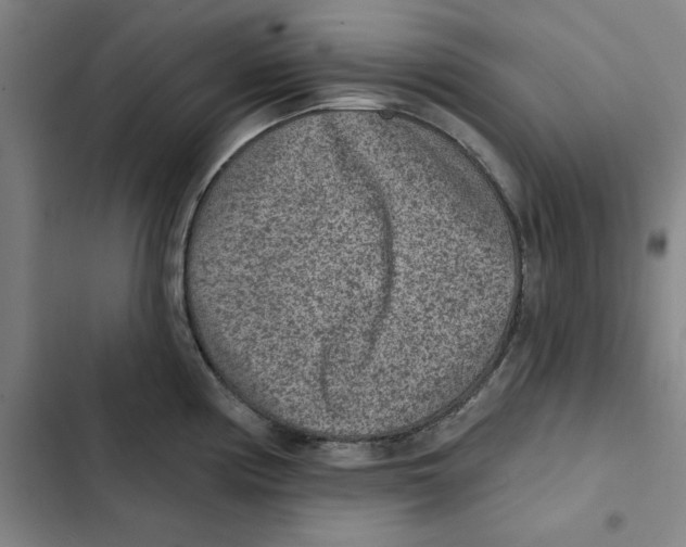 X0000102361194200808291218