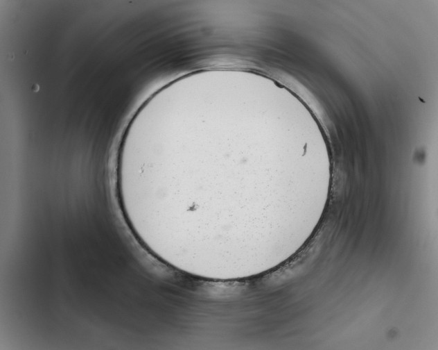 X0000102361195200808291218