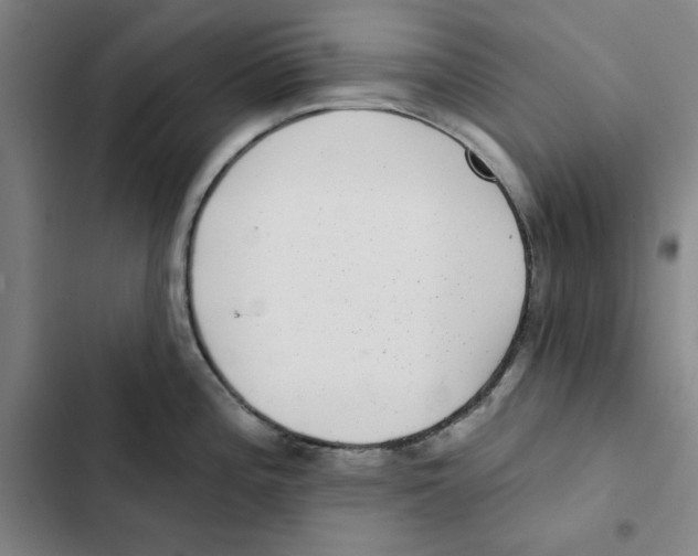 X0000102361196200808291218