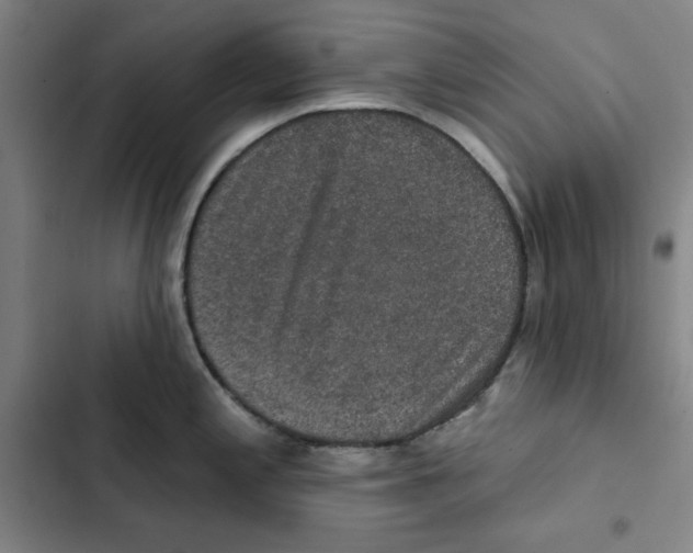 X0000102361197200808291218