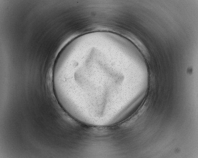 X0000102361198200808291218