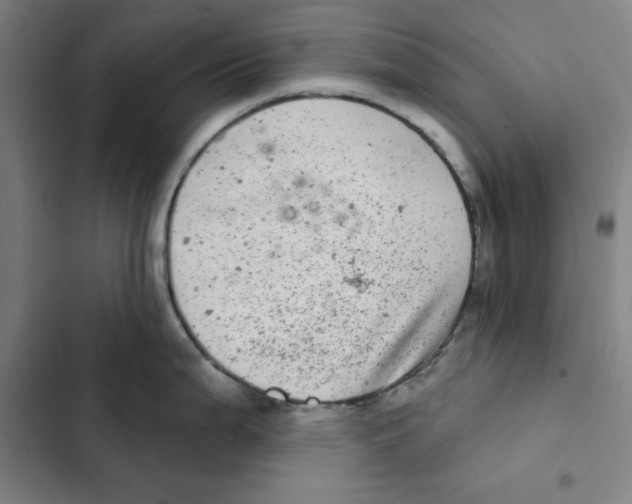 X0000102361199200808291217