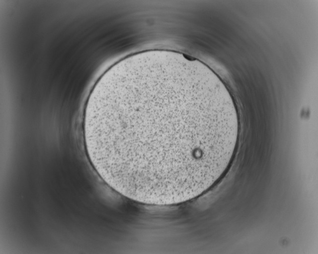 X0000102361200200808291217