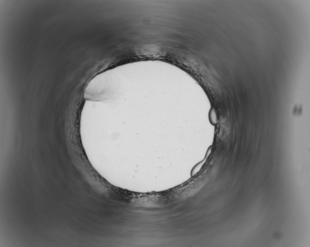 X0000102361201200808291217