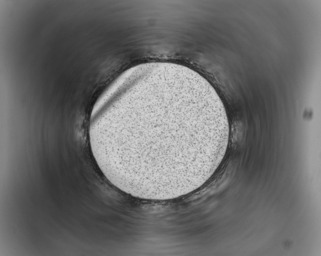 X0000102361202200808291217