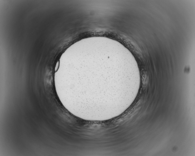 X0000102361204200808291217