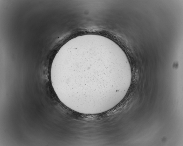 X0000102361205200808291217