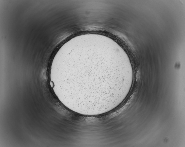 X0000102361209200808291217