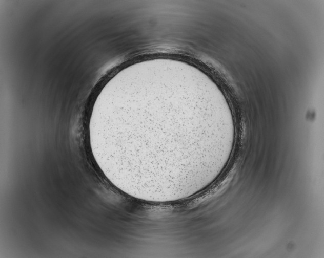 X0000102361210200808291217