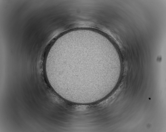 X0000102361211200808291217