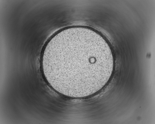 X0000102361212200808291217