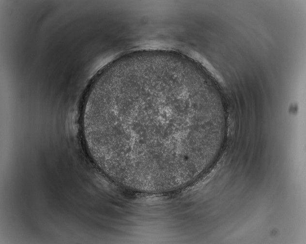 X0000102361213200808291217