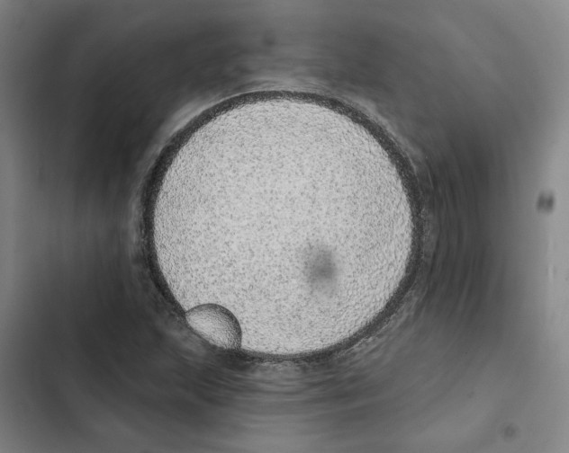 X0000102361215200808291217