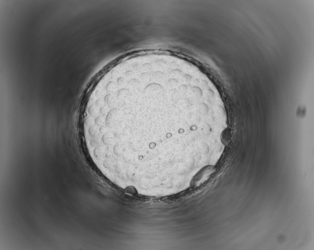 X0000102361216200808291217