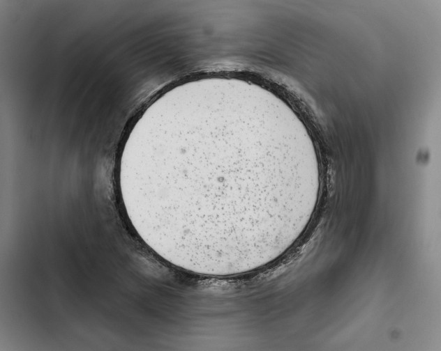 X0000102361217200808291217