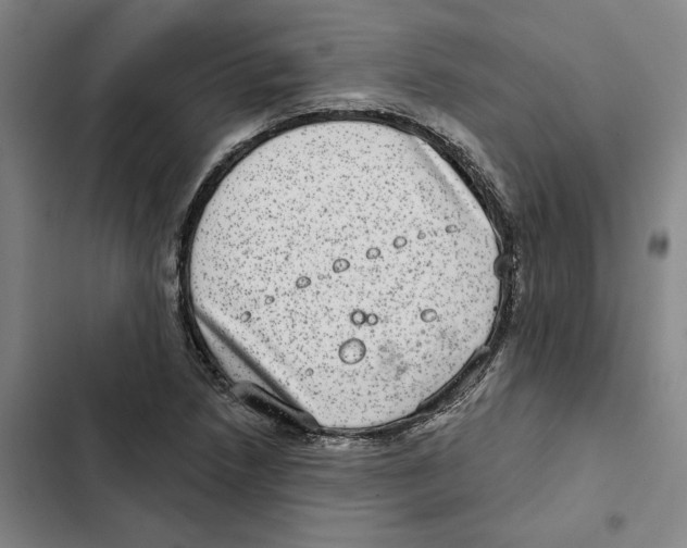 X0000102361218200808291217